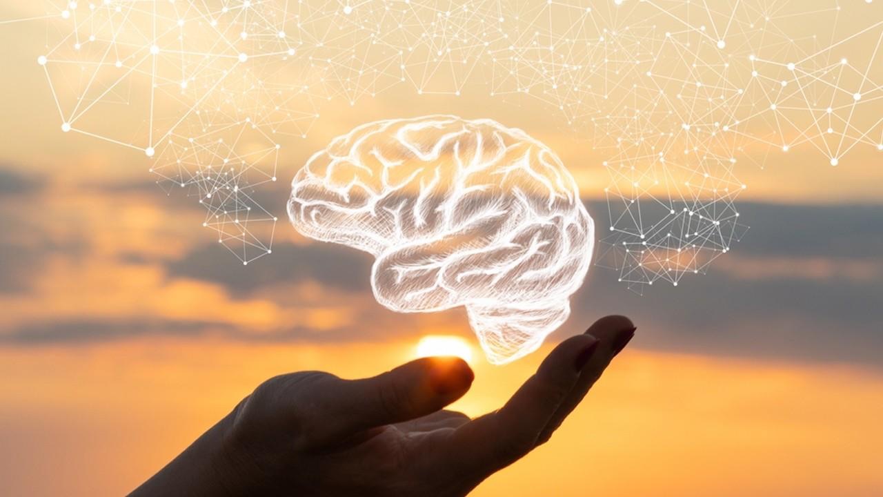 Neuroscience Coach Certification Online Elevating Coaching with Brain-Based Science